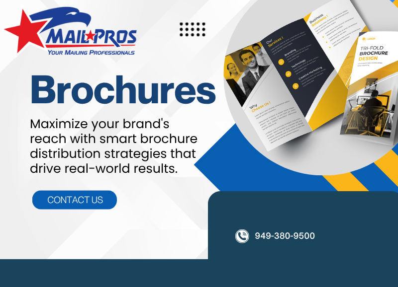 Brochure Distribution Strategies for Maximum Exposure