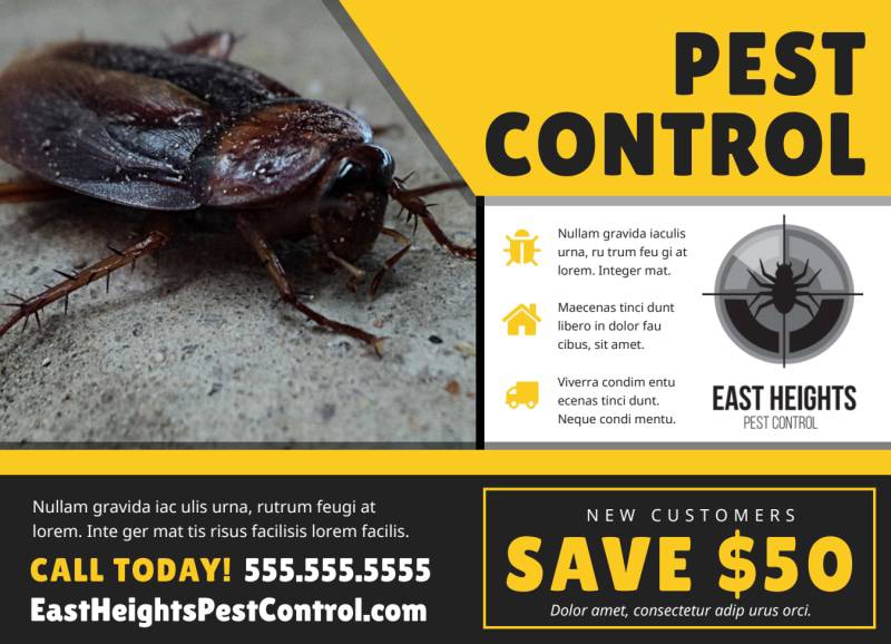 Postcard for a pest control provider in Silver Spring, MD