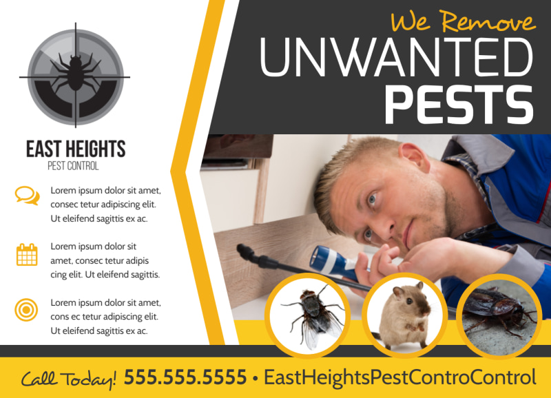 postcard for pest control service in Port Angeles