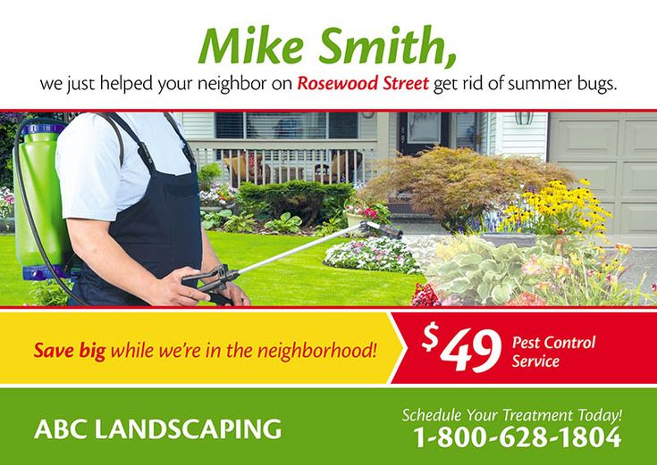 postcard for pest control service in Concord, CA