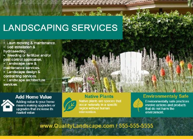 Postcard for mosquito control service provider in Clearwater, FL