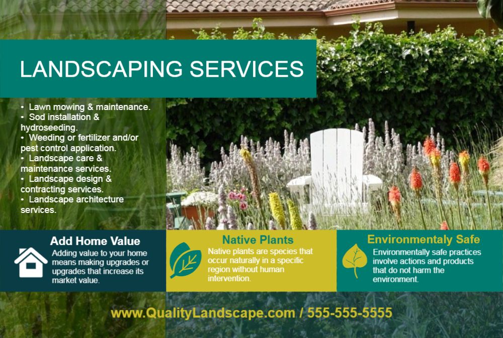 Postcard for mosquito control service provider in Clearwater, FL