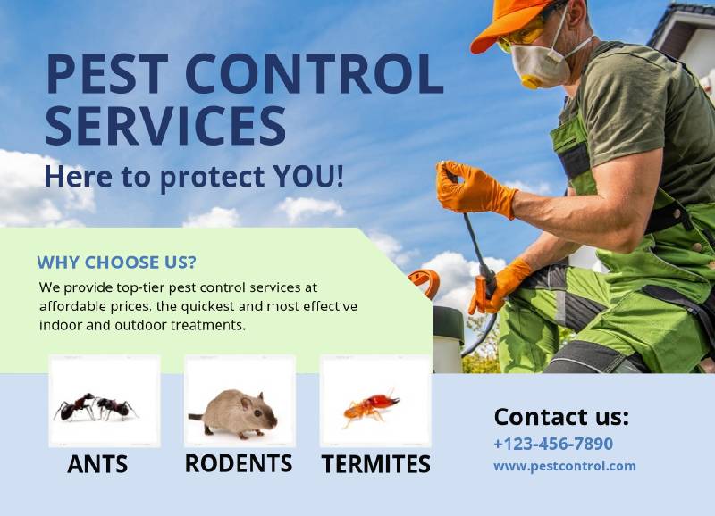 Direct Mail For A pest control service in Lakeside, OH