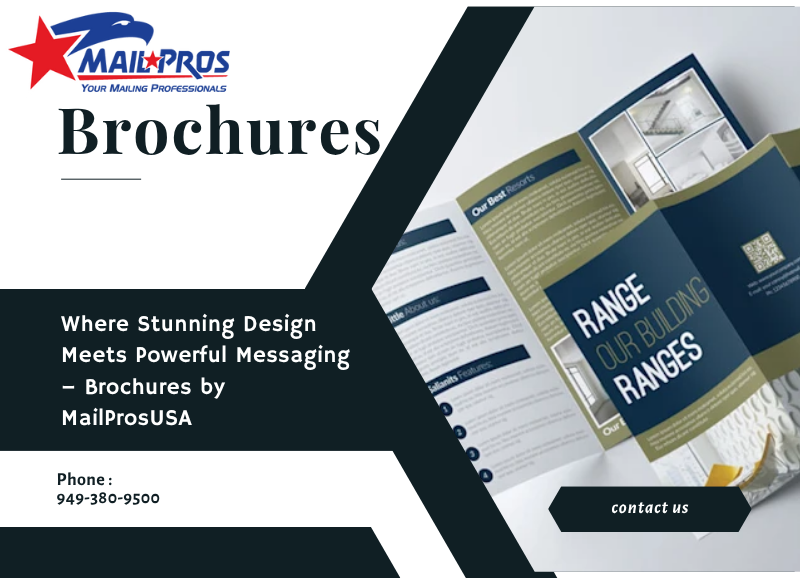 Brochure Content: Balancing Information and Design